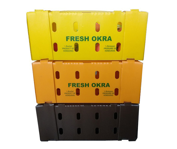 Corrugated Plastic Okra Box