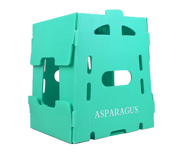 Corrugated Plastic Asparagus Box