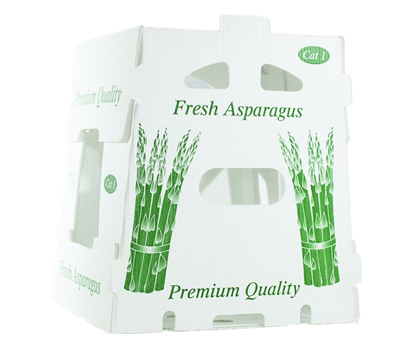 Corrugated Plastic Asparagus Box